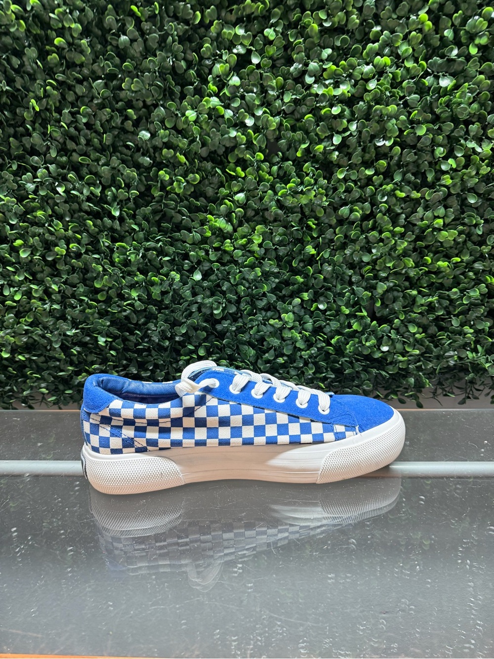 Mudd Blue White Checkerboard Low-Top Sneakers - Picture 5 of 10